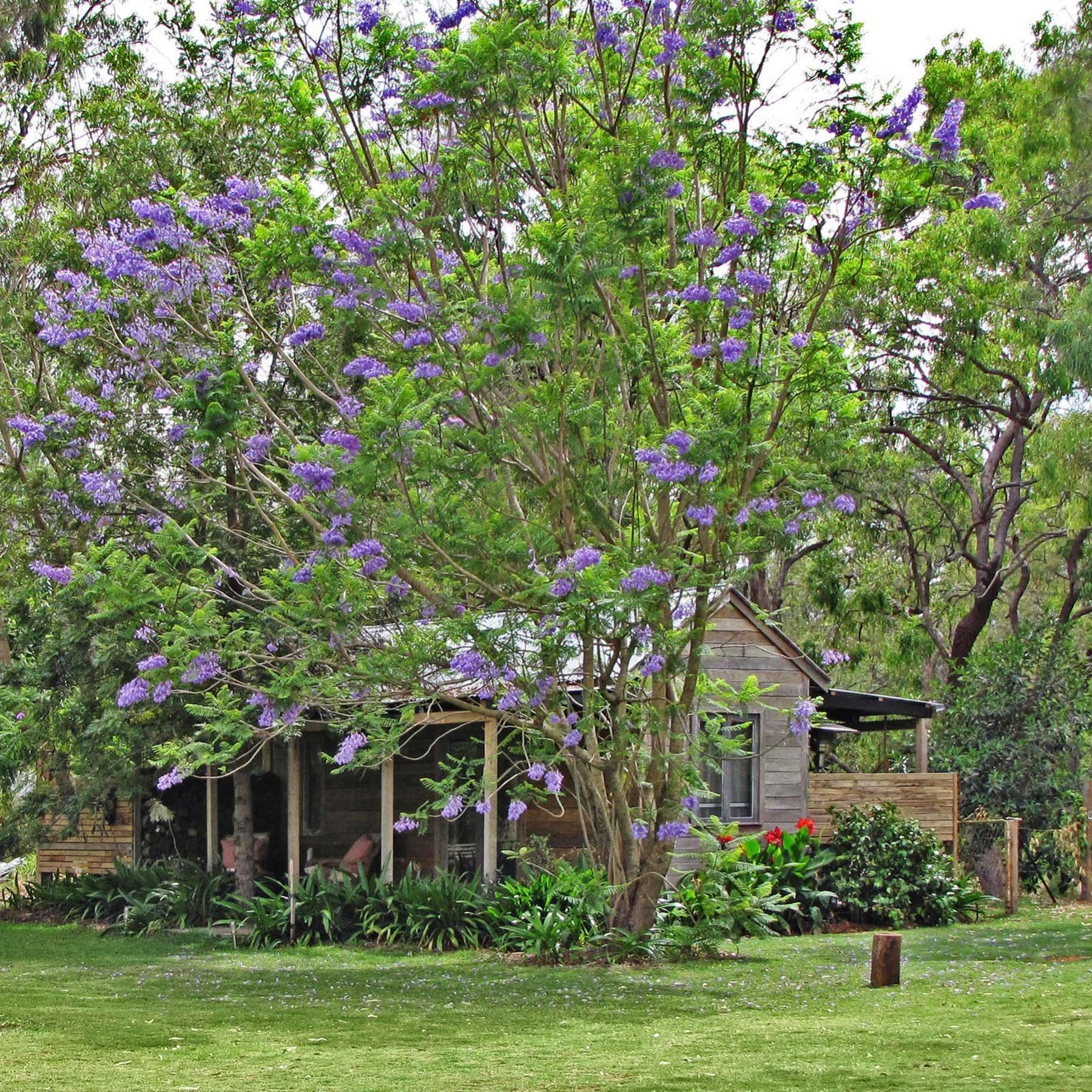 The Laurels Of Chinchilla Hotel Luaran gambar